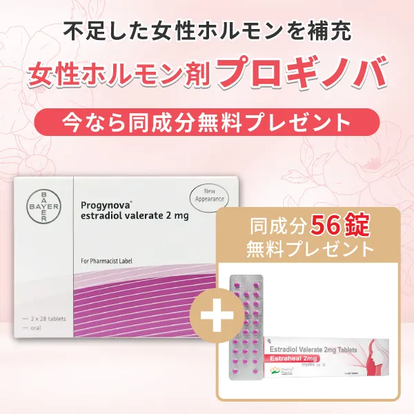 女性ホルモン剤プロギノバ112錠+(同成分56錠無料プレゼント) 商品画像