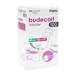 ブデコートインヘラー【ヤマト便/局留め不可】 商品画像