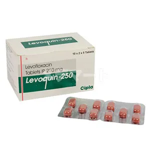 レボクイン【クラビットジェネリック】 商品画像