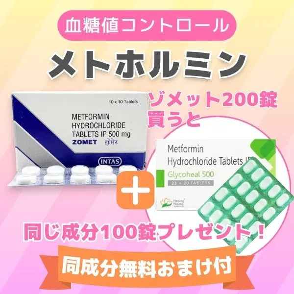 メトホルミン200錠＋（同成分100錠無料プレゼント） 商品画像