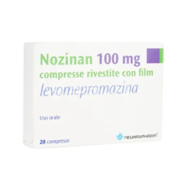 ノジナン 100mg